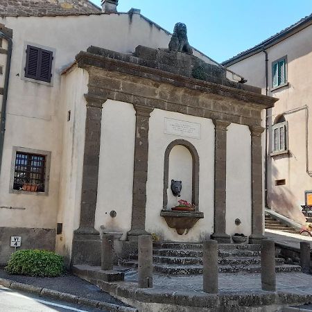 Ferienwohnung Agora Montecatini Val di Cecina Exterior foto